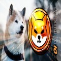 Shiba Coin: Latest Developments and Price Predictions