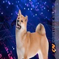 Shiba Inu (SHIB) Price Analysis and Predictions: Famous Analyst Gives Date for $1