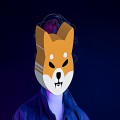 Shiba Inu’s Recent Burn Drives Excitement Among Traders