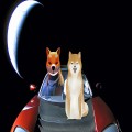 Market Uncertainty Puts Meme Coins like Floki, PEPE, and Dogecoin at Risk