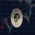 Bitcoin’s Resilience Sparks Optimism for Future Gains