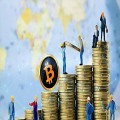 Public Companies Ramp Up Bitcoin Holdings Rapidly