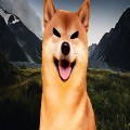 Shiba Inu Community Drastically Burns Over a Billion SHIB Tokens