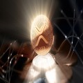 XRP Faces Decline: Whales Sparks Market Speculation
