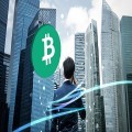 Bitcoin’s Price Aspiration: Evaluations Drive Predictions