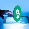 Bitcoin’s Resilience Faces Demand Drought: What Lies Ahead?