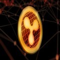RippleX Proposes New Metadata Standards for Enhanced Token Clarity on XRP Ledger