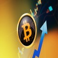 Investors Breathe Easy as Whale Sells Massive Bitcoin Reserve