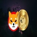 Whale Activities Drive Shiba Inu Token’s Price Movement in 2024