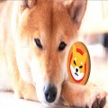 Shiba Inu Sparks Renewed Attention with Surprising Market Divergence