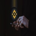 Investors Eye BSC Altcoins as They Surge in Popularity