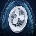 Cryptocurrency Trends Shift as Acclaimed Trader Weighs In