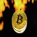 Seize Crypto Opportunities with Instant Alerts and Smart Tools