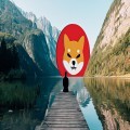 Shiba Inu’s Price Soars Despite Looming Investor Concerns