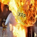 XRP Heads Towards a Surprising End of Year Scenario