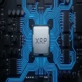 XRP recovers to $1.44 as sell orders outpace buyers