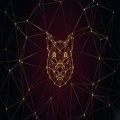 Shiba Inu, Solana, Hyperliquid and Binance Coin test critical resistance levels