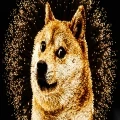 Dogecoin targets $0.115 as SEC defines meme coins as collectibles