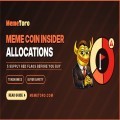 Meme Coin Insider Allocations: 5 Supply Red Flags Before You Buy 