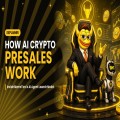 Can You Get Your Money Back in a Memecoin Presale? MemeToro’s Refund System