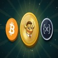Critical days for Bitcoin and XRP: The market balance could shift!