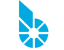 bitGold (BITGOLD)