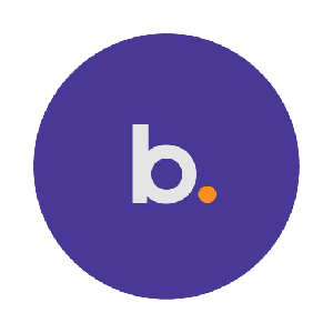 BNS token (BNS)