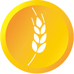 Demeter Chain (DMTC)