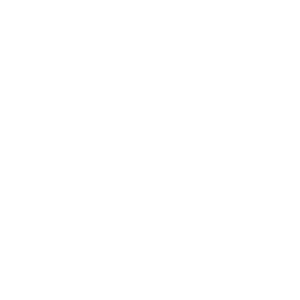 NextDAO (NAX)