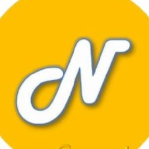 Newton Coin (NCP)