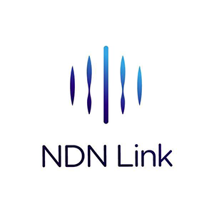 NDN Link (NDN)