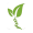 Agricoin icon
