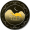 Amazing Life Scam icon