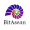 BNB Attestation Service icon
