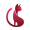 Beau Cat icon