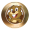 Crypto Chip Token icon