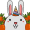 CARROT STABLE COIN icon