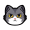 CATCOIN icon