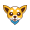 Chihua Token icon