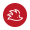 Echidna icon