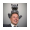 Cat of Elon icon
