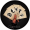 Gamma icon