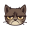Grumpy Cat icon