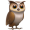 Index Cooperative icon