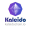 Kaleido icon