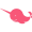 Narwhale.finance icon