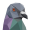 Paragon icon