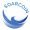 Soarchain icon