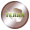 Teradyne, Inc. Common Stock (Derivatives) icon