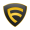 TrueFeedBack icon